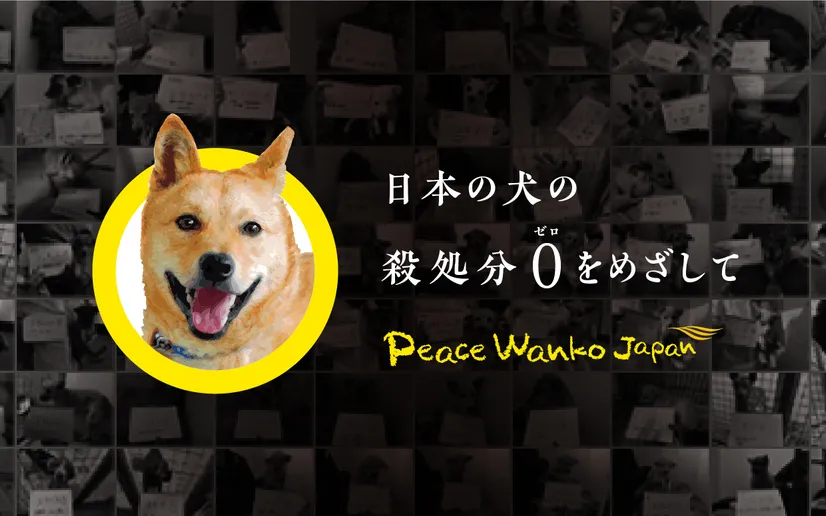 特定非営利活動法人 ピースウィンズ・ジャパン